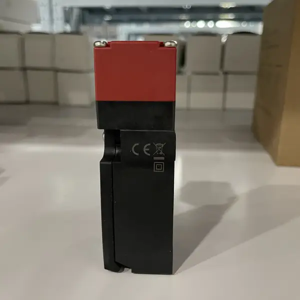 Omron D4NS-1AF Safety Door Switch — front view